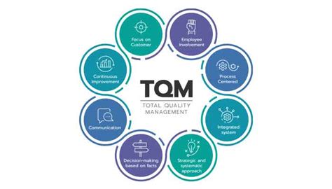 Top 8 principles of total quality management in 2023 - Chuyên Trang ...