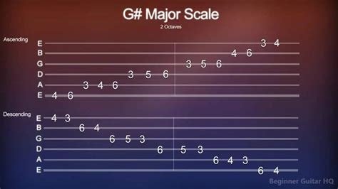 G# Guitar Chord - Finger Positions, How-to, Variations - Beginner Guitar HQ