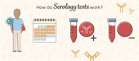 Serology Tests | COVID-19 Testing Toolkit