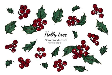 Hand drawn holly berries and leaves 1228546 Vector Art at Vecteezy