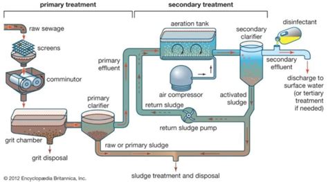 Aerobic Digestion vs Anaerobic Digestion in Wastewater Treatment | Lab ...