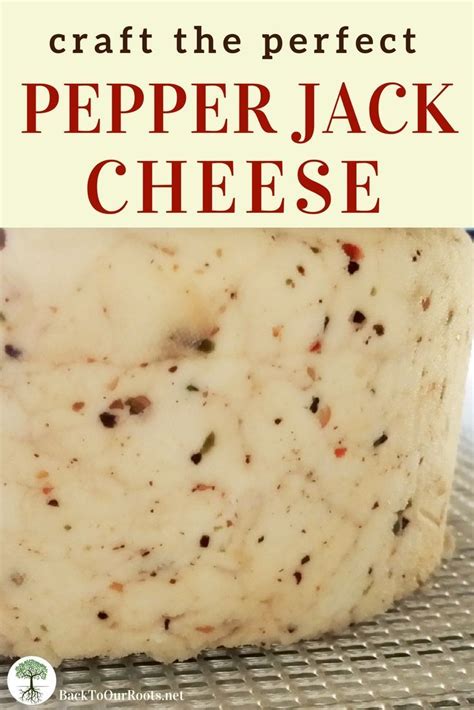 How to Make Perfect Pepper Jack Cheese | Recipe | Cheese recipes ...