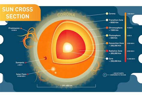 Here are the 7 Layers of the Sun (Diagram) - Wildlife Informer