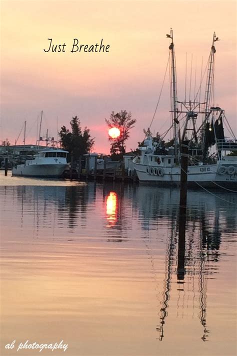 Sunset at the harbor. Key West, FL | Key west, Island destinations, Sunset