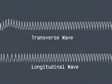 Longitudinal Wave Transverse Waves GIF - LongitudinalWave ...