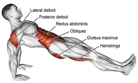 MMA Plank Rountine - Fighting Tips - Street Fight Mentality & Fight Sport