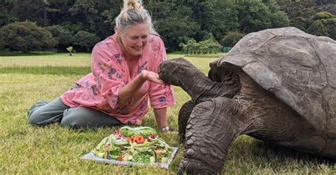 Jonathan the Tortoise's 190th Birthday Honors the Oldest-Living Land Animal