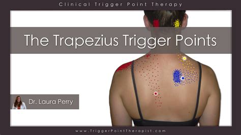 Trigger Point Video for Trapezius Muscle | TriggerPointTherapist.com