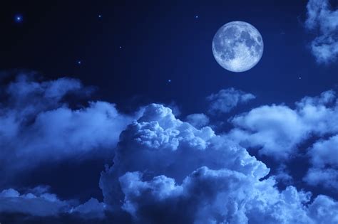 Fantasy, Night, Moon, Fox, Fantasy Animals, HD wallpaper | Peakpx