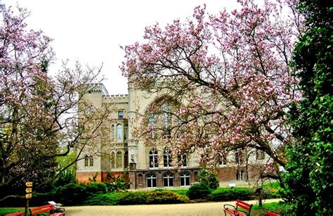 Moje codzienne przyjemności...: Arboretum w Kórniku i dni magnolii