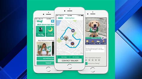 Dog walking app set to launch in Houston