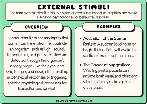 Response To Stimuli Examples