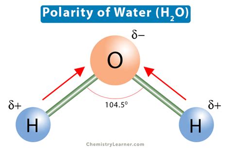 Polarity of Water (H2O) Molecule: Definition and Importance