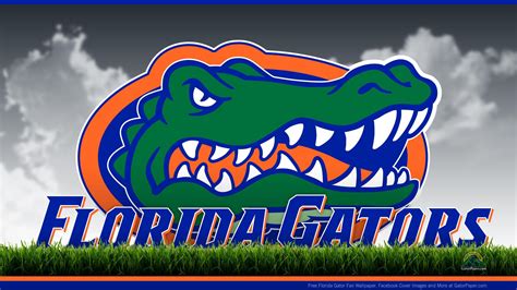 Florida Gators Football Wallpapers - Wallpaper Cave