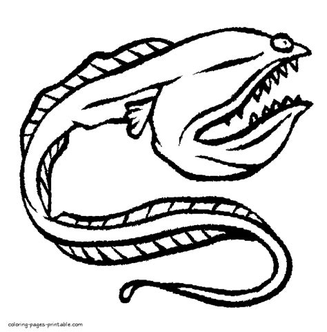 Eel Coloring Pages Coloring Pages