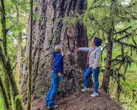 16 of the Best Oregon Hiking Trails for a Lifetime of Adventures ...