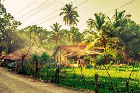 14 Offbeat Things To Do In Goa Only For The Real Traveler