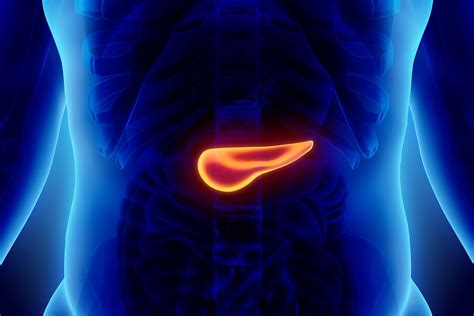 Pancreas Scan | Johns Hopkins Medicine