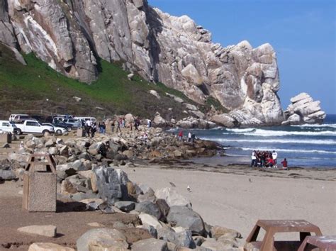 Morro Rock Beach | City of Morro Bay - Official Website