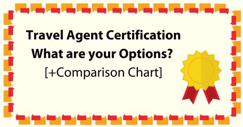 Travel Agent Certification - What are your Options?