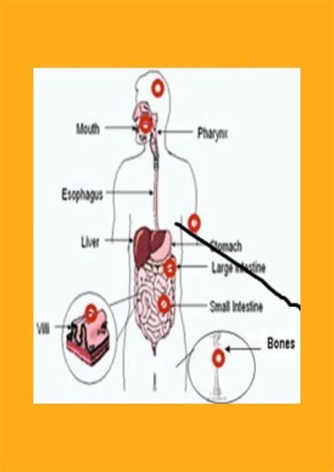 Know Here-Loose Motion Home Remedies By 7 Minutes