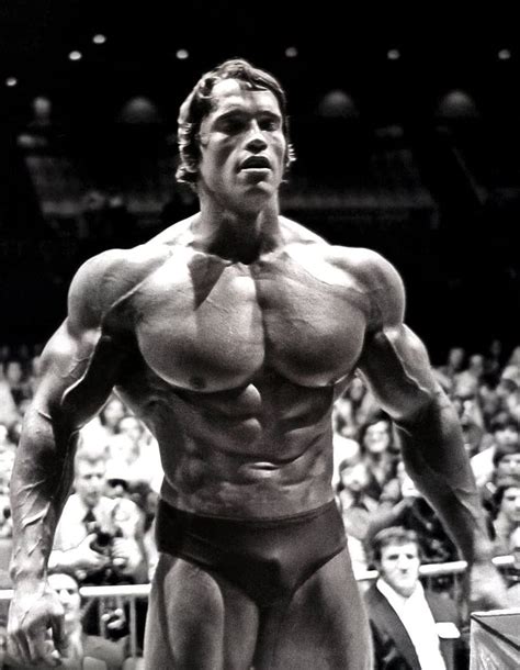 Arnold Schwarzenegger Bodybuilding Wallpaper