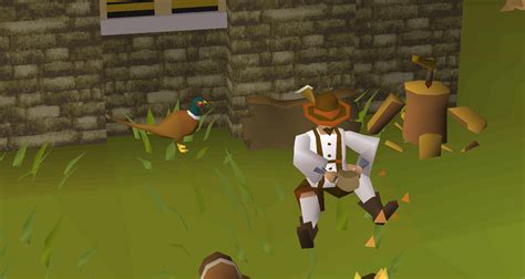 Forestry: Part Two – Community Consultation – OSRS – Old School ...