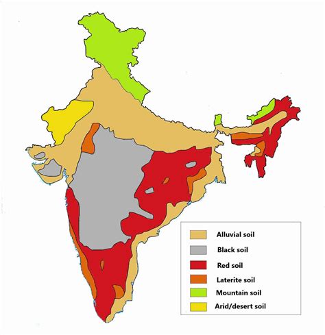 Types of soils in India- Alluvial soil, Black soil, Red soil, etc.