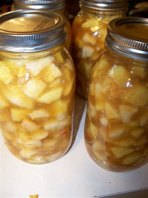 23 Best Canning Apple Pie Filling without Clear Jel - Best Recipes ...