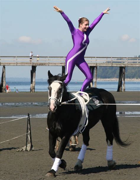 Horse vaulting equipment | Home [www.skylineequine.com] | Vaulting ...