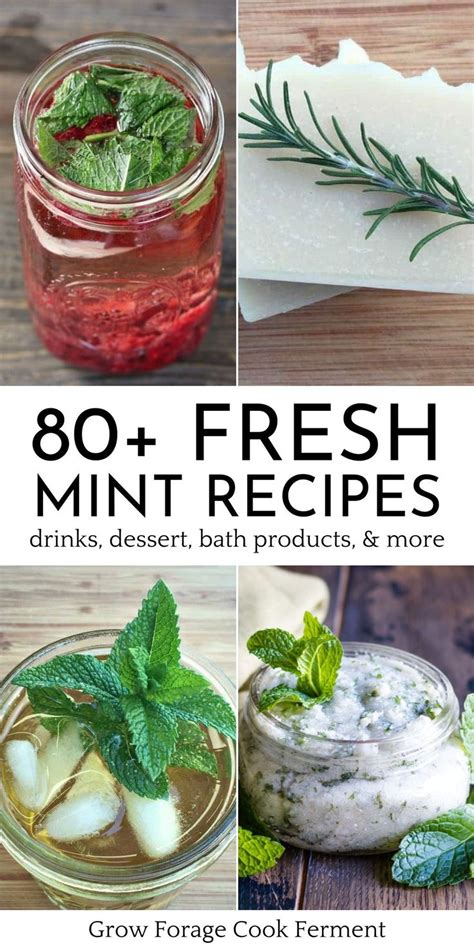 80+ Mint Recipes: Drinks, desserts, remedies + more! | Mint recipes ...