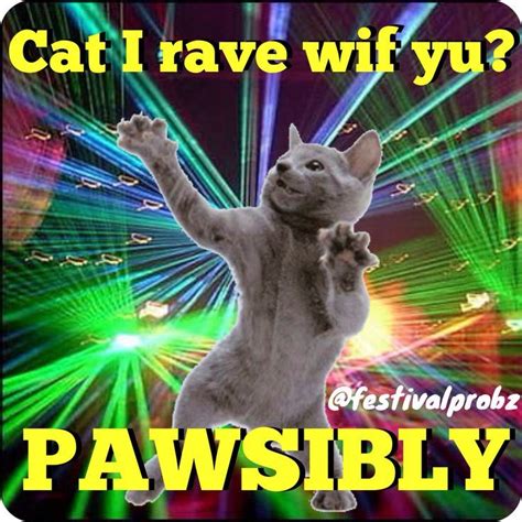 Cat I rave wif yu? PAWSibly EDM meme | Edm humor, Rave quotes, I love ...