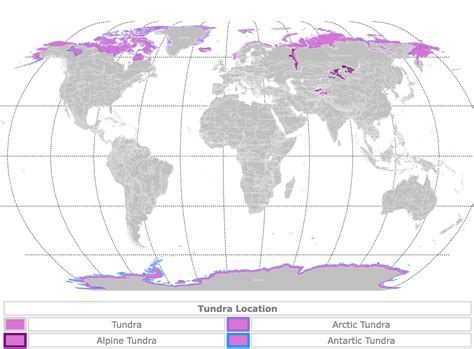 Tundra Biome World Map - Sacha Clotilda