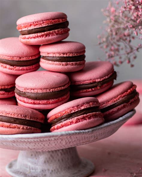 Award Winning Macarons Recipe : French Macarons State Fair Recipes Blue ...