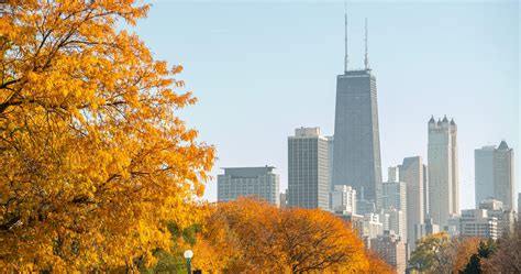 Where to see fall colors in and around Chicago – redhills-dining