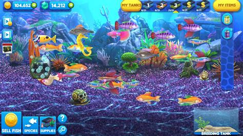 Our 5 Favorite Fish Games for PC🎉 Sinta o sabor do futuro com Salt and ...