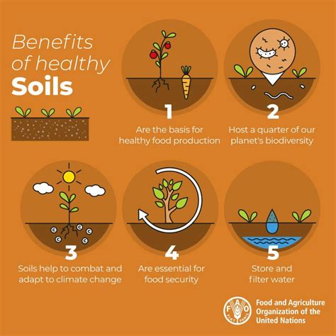 Benefits of healthy soils | Soil, Plant nutrients, Food security