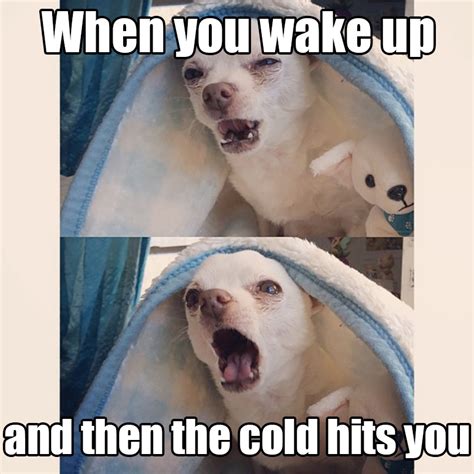 Cold Weather Memes