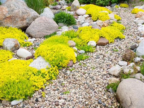 Creating A Gravel Garden | Garden Landscape, Gardening | Blooming Secrets