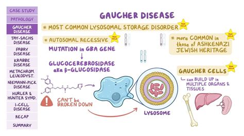 Lysosomal storage disorders: Pathology review: Video | Osmosis