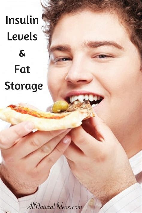 Insulin Levels and Fat Storage | All Natural Ideas