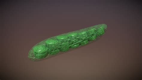 Chloroplast - 3D model by pavelmo4alov [637b52d] - Sketchfab