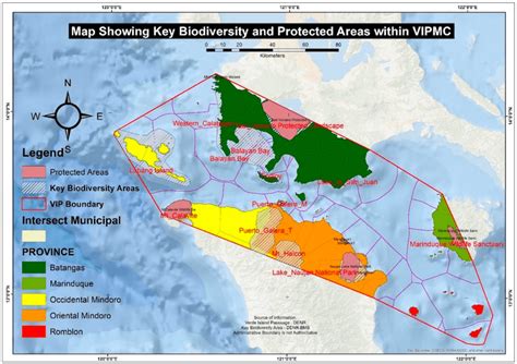 Verde Island Passage in danger as LNG projects flock to Batangas