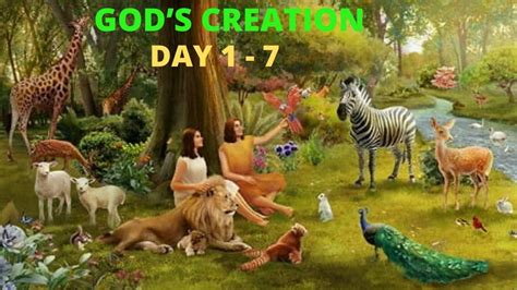 God's Creation | Day 1-7 | The Story of Creation | - YouTube