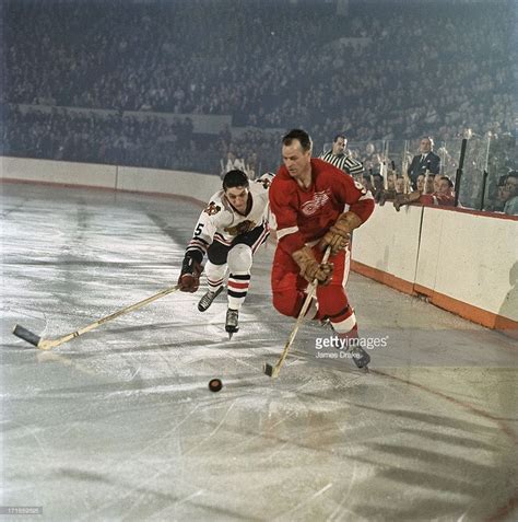 Gordie Howe Pictures | Getty Images | Detroit red wings hockey, Red ...