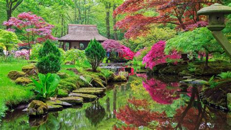 Inspirational Japanese Zen Garden Ideas – Forbes Advisor