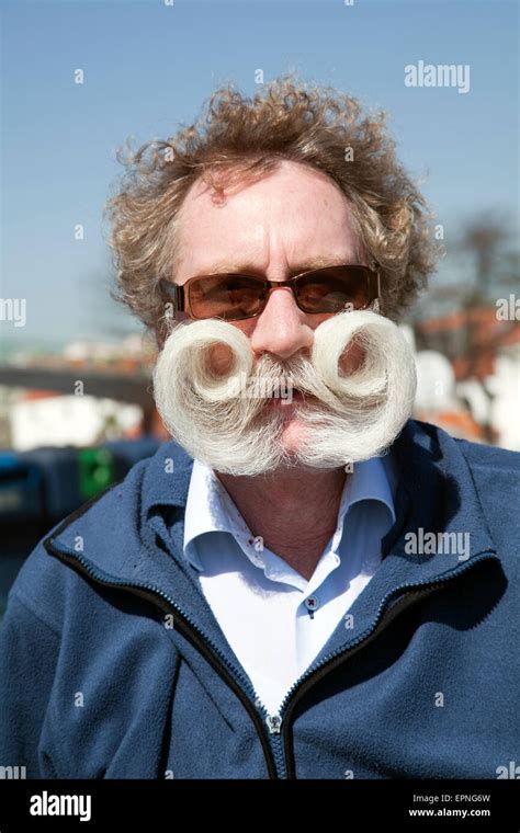 Real Curly Mustache