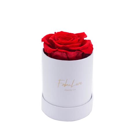 Eternal Rose Box Bouquet – FabuLove