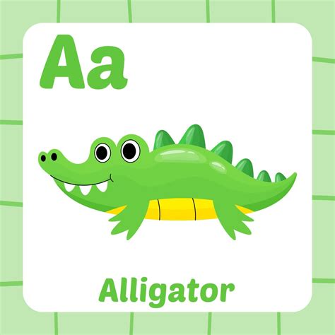 flashcard for kids, alligator vector 7382278 Vector Art at Vecteezy