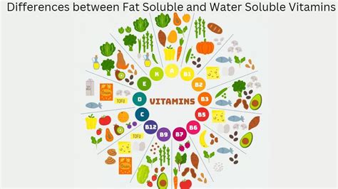 Difference between Fat-Soluble and Water-Soluble Vitamins